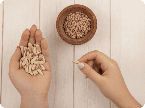 Understanding Seed Cycling For Periods, PCOS And Fertility