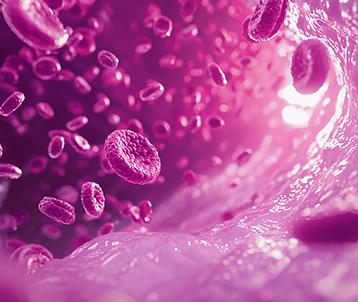 Menstrual Disorders