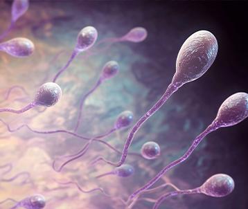 Sexual Dysfunction in Men
