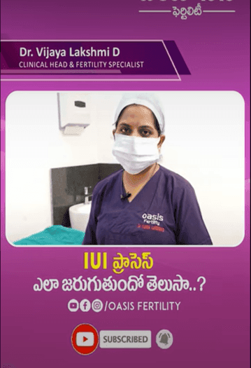 pregnancyplan4