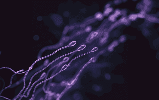 treatment image