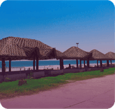 Ongole